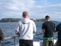 Out The Blue - Boatfishing Charters Guernsey