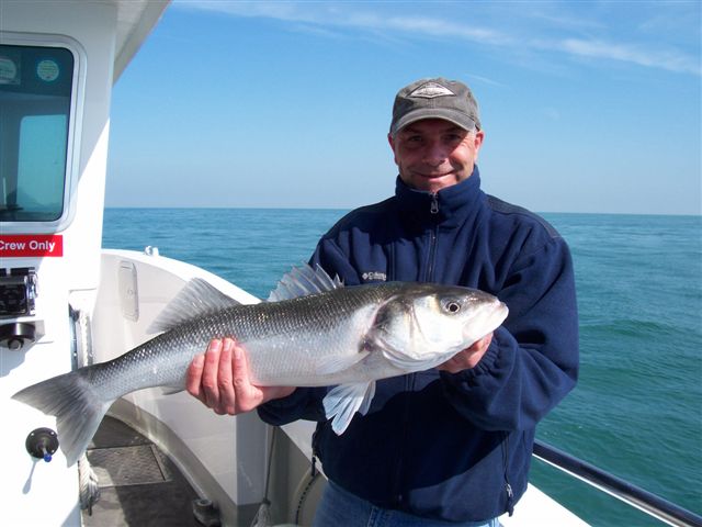 Out The Blue - Boatfishing Charters Guernsey