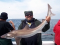 Out The Blue - Boatfishing Charters Guernsey