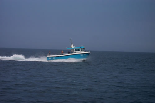 Out The Blue - Boatfishing Charters Guernsey