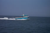 Out The Blue - Boatfishing Charters Guernsey