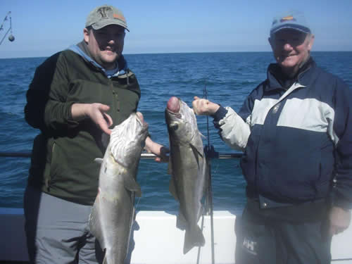 Out The Blue - Boatfishing Charters Guernsey
