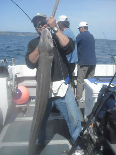 Out The Blue - Boatfishing Charters Guernsey