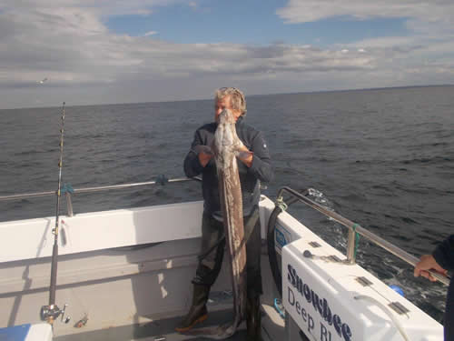 Out The Blue - Boatfishing Charters Guernsey
