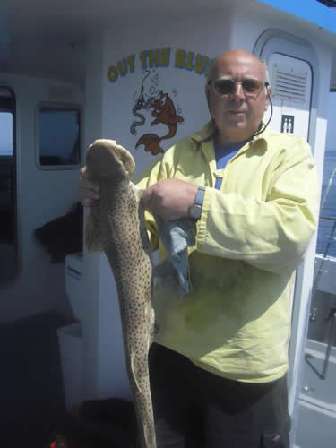 Out The Blue - Boatfishing Charters Guernsey