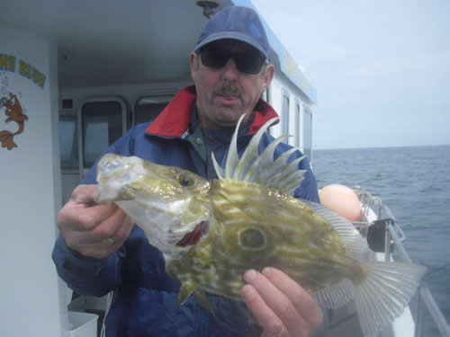 Out The Blue - Boatfishing Charters Guernsey