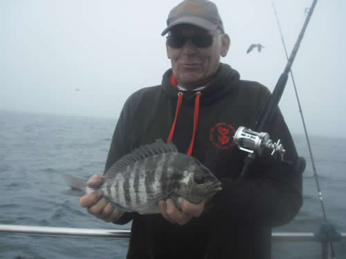 Out The Blue - Boatfishing Charters Guernsey