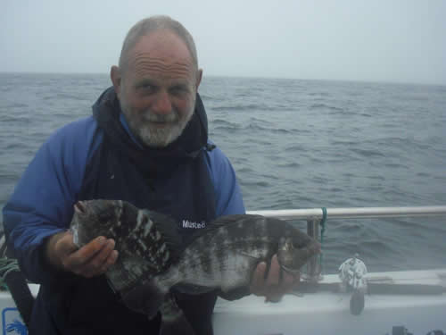 Out The Blue - Boatfishing Charters Guernsey