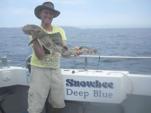 Out The Blue - Boatfishing Charters Guernsey