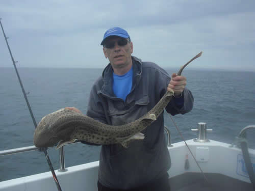 Out The Blue - Boatfishing Charters Guernsey