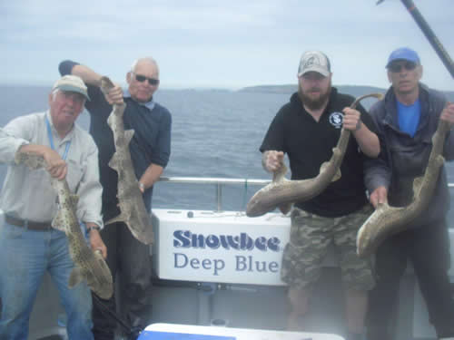 Out The Blue - Boatfishing Charters Guernsey