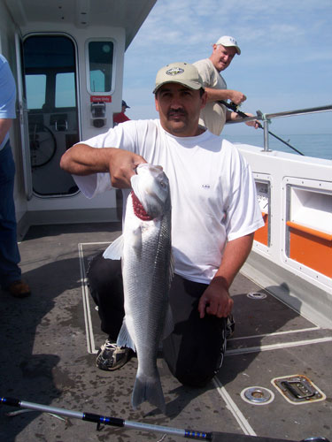 Out The Blue - Boatfishing Charters Guernsey