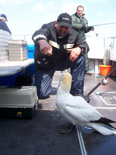 Out The Blue - Boatfishing Charters Guernsey