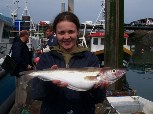 Out The Blue - Boatfishing Charters Guernsey