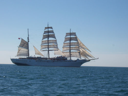 Out The Blue - Boatfishing Charters Guernsey