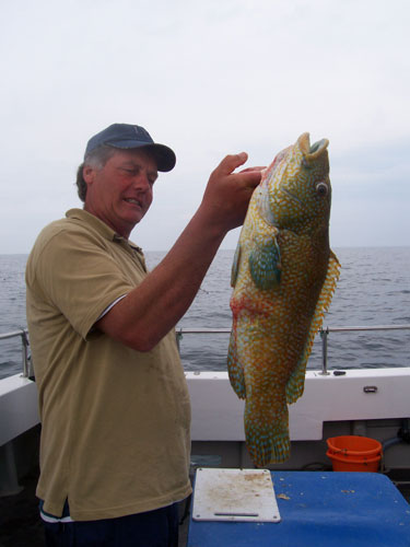 Out The Blue - Boatfishing Charters Guernsey