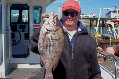 Out The Blue - Boatfishing Charters Guernsey