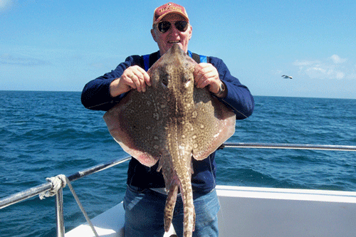Out The Blue - Boatfishing Charters Guernsey