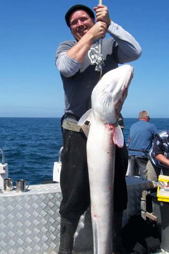 Out The Blue - Boatfishing Charters Guernsey