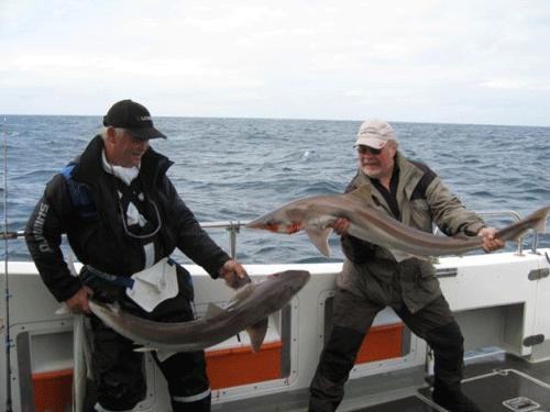Out The Blue - Boatfishing Charters Guernsey