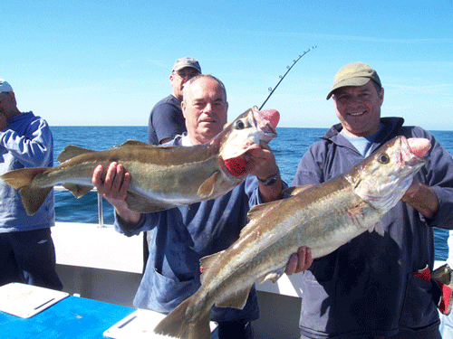Out The Blue - Boatfishing Charters Guernsey