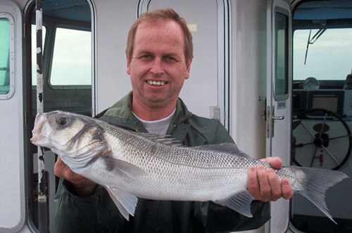 Out The Blue - Boatfishing Charters Guernsey