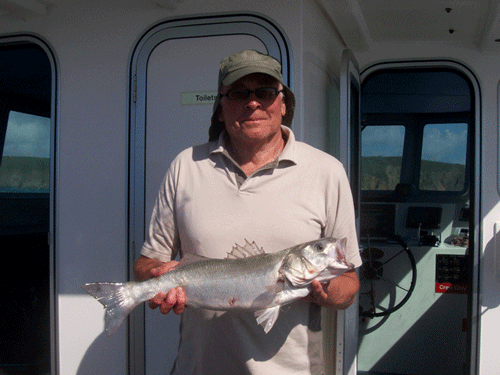Out The Blue - Boatfishing Charters Guernsey