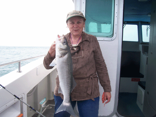 Out The Blue - Boatfishing Charters Guernsey