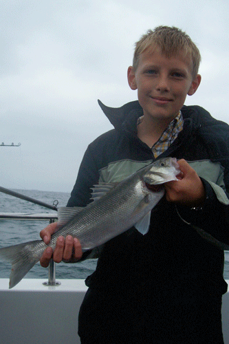 Out The Blue - Boatfishing Charters Guernsey