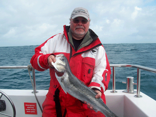 Out The Blue - Boatfishing Charters Guernsey