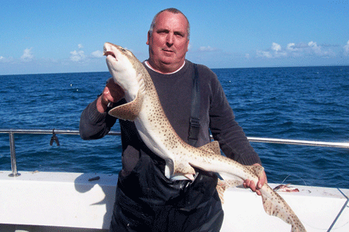 Out The Blue - Boatfishing Charters Guernsey