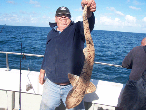 Out The Blue - Boatfishing Charters Guernsey