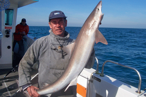 Out The Blue - Boatfishing Charters Guernsey