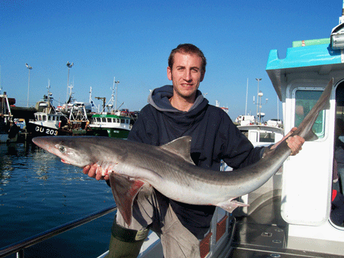 Out The Blue - Boatfishing Charters Guernsey