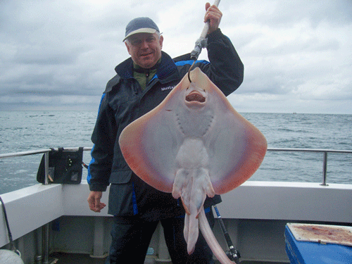 Out The Blue - Boatfishing Charters Guernsey