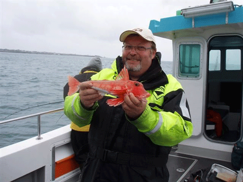 Out The Blue - Boatfishing Charters Guernsey