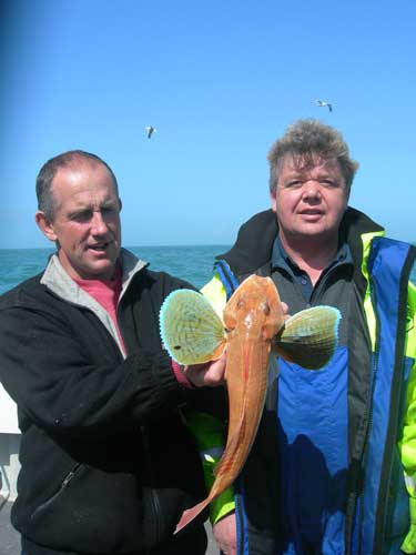 Out The Blue - Boatfishing Charters Guernsey